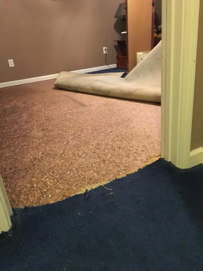 Carpet pad removal revealing water damage during Drying & Dehumidification in El Sobrante