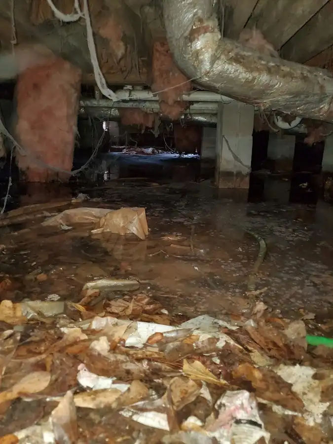 Crawl space flood assessment for Leak Detection & Repair in El Sobrante